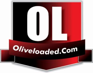 icon oliv 300x238 1 1