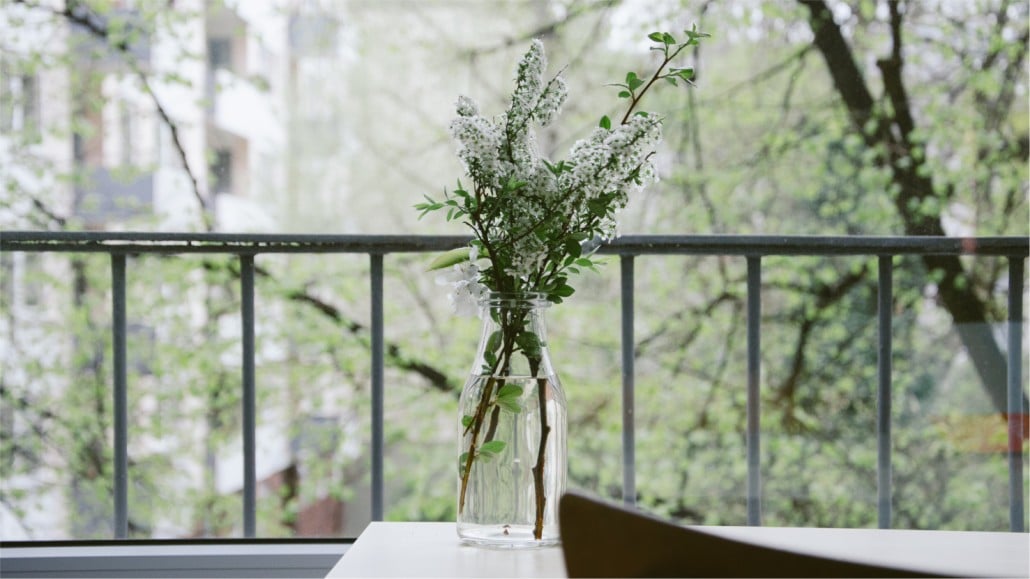 1 x1VVin4ERPmJPBhiXTft DSC0927 1030x579 1